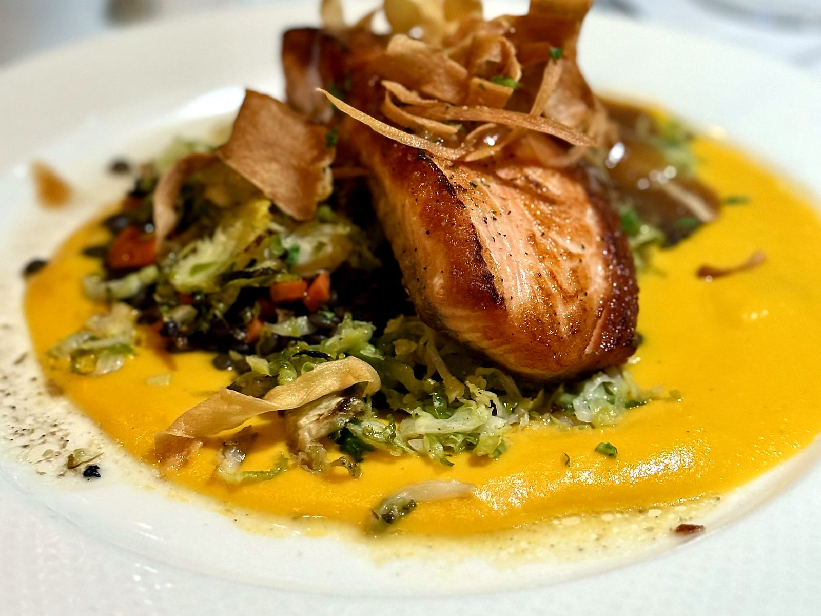 Seared salmon at Café Provence over lentils and shaved brussels sprouts in a golden purée, topped with parsnip crisps.