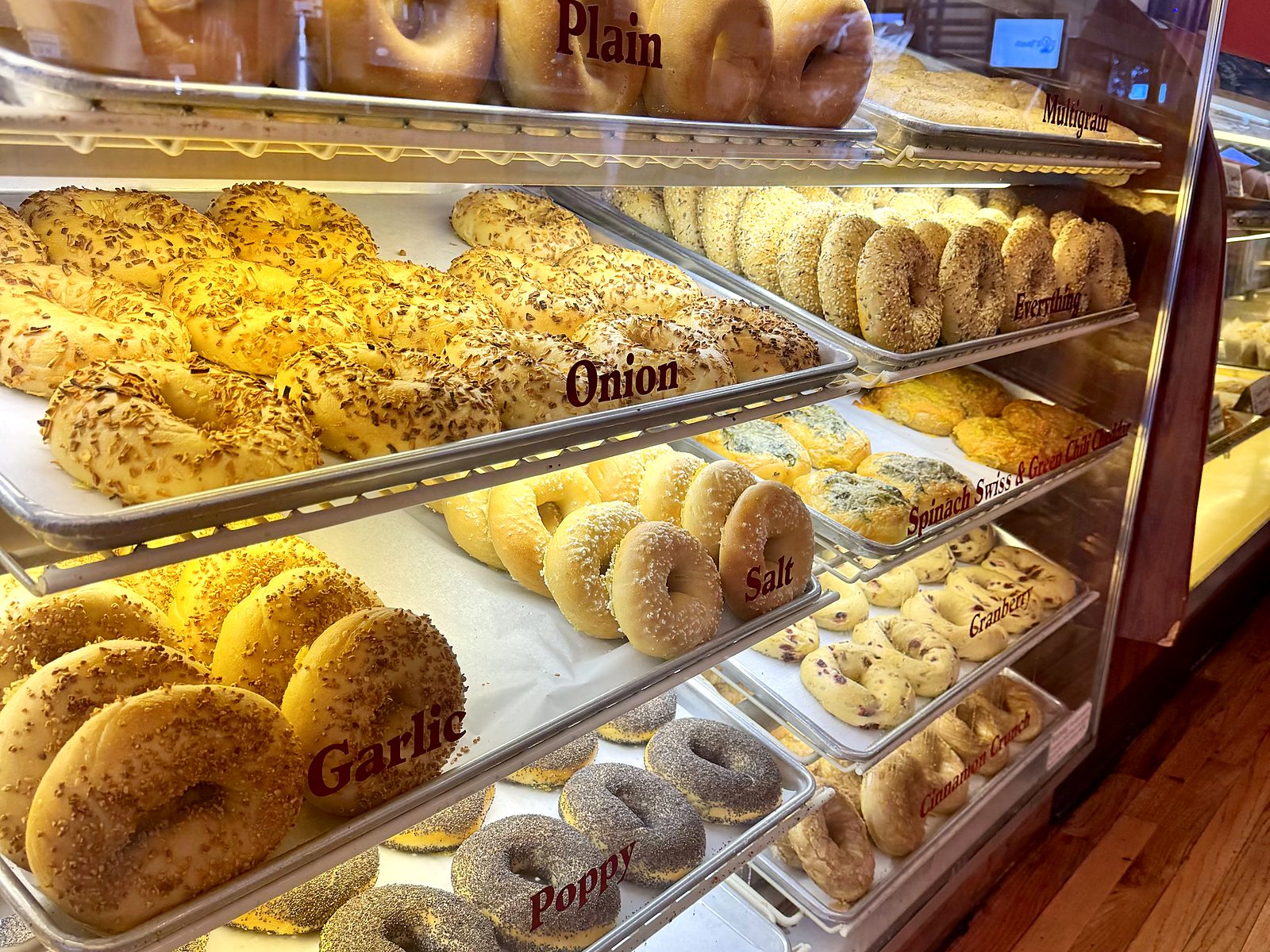 The bagel case at Main Street Bagels — sloped trays labeled plain, onion, garlic, salt, poppy, everything, and asiago.