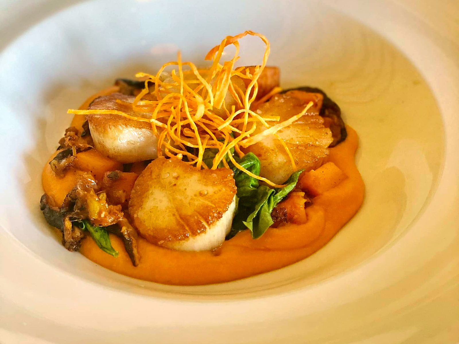 The seared diver scallops at Novel — caramelized over sweet potato purée with shiitake and wilted spinach, under a nest of crispy sweet potato threads.