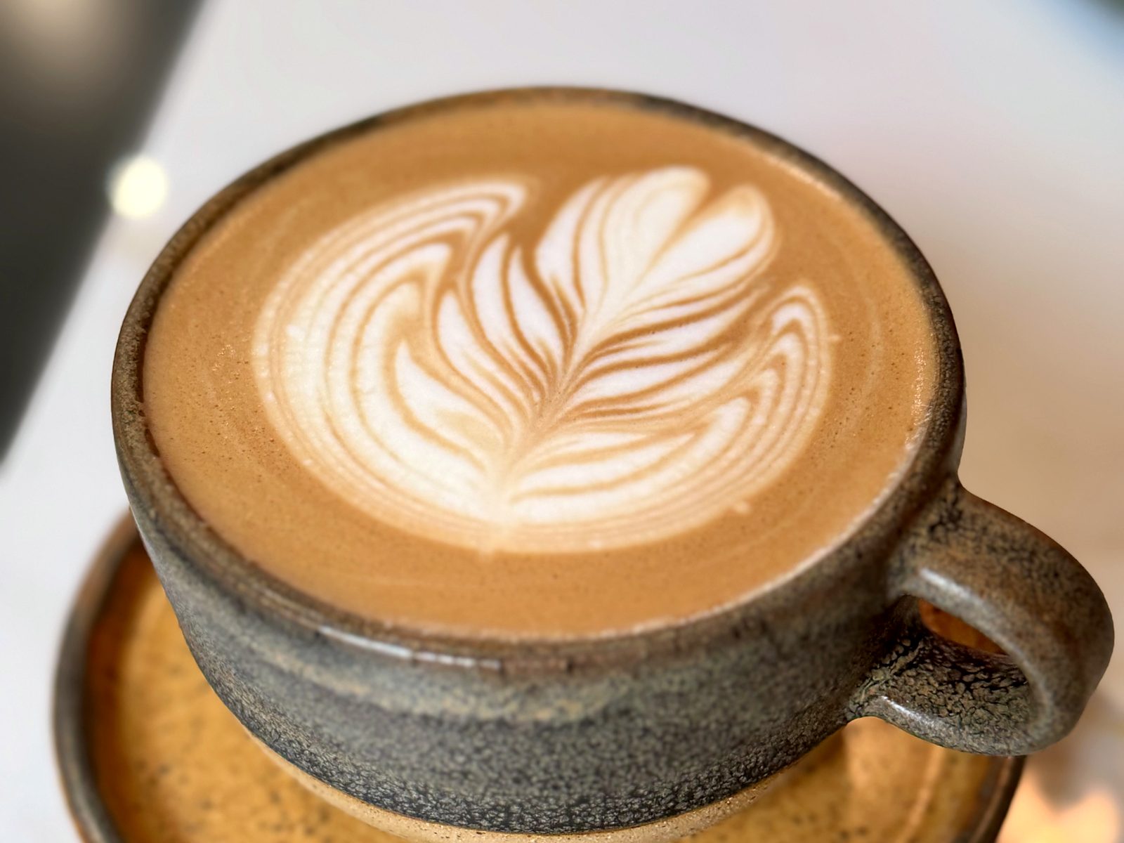 A rosetta poured in a speckled stoneware cup and saucer at Provis Coffee.