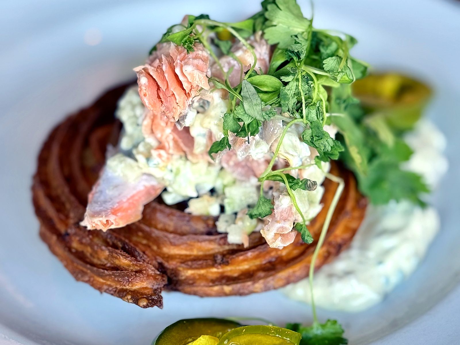 The trout churro at The Pullman — a crisp fried spiral topped with smoked trout salad, herbs, and pickled jalapeño.