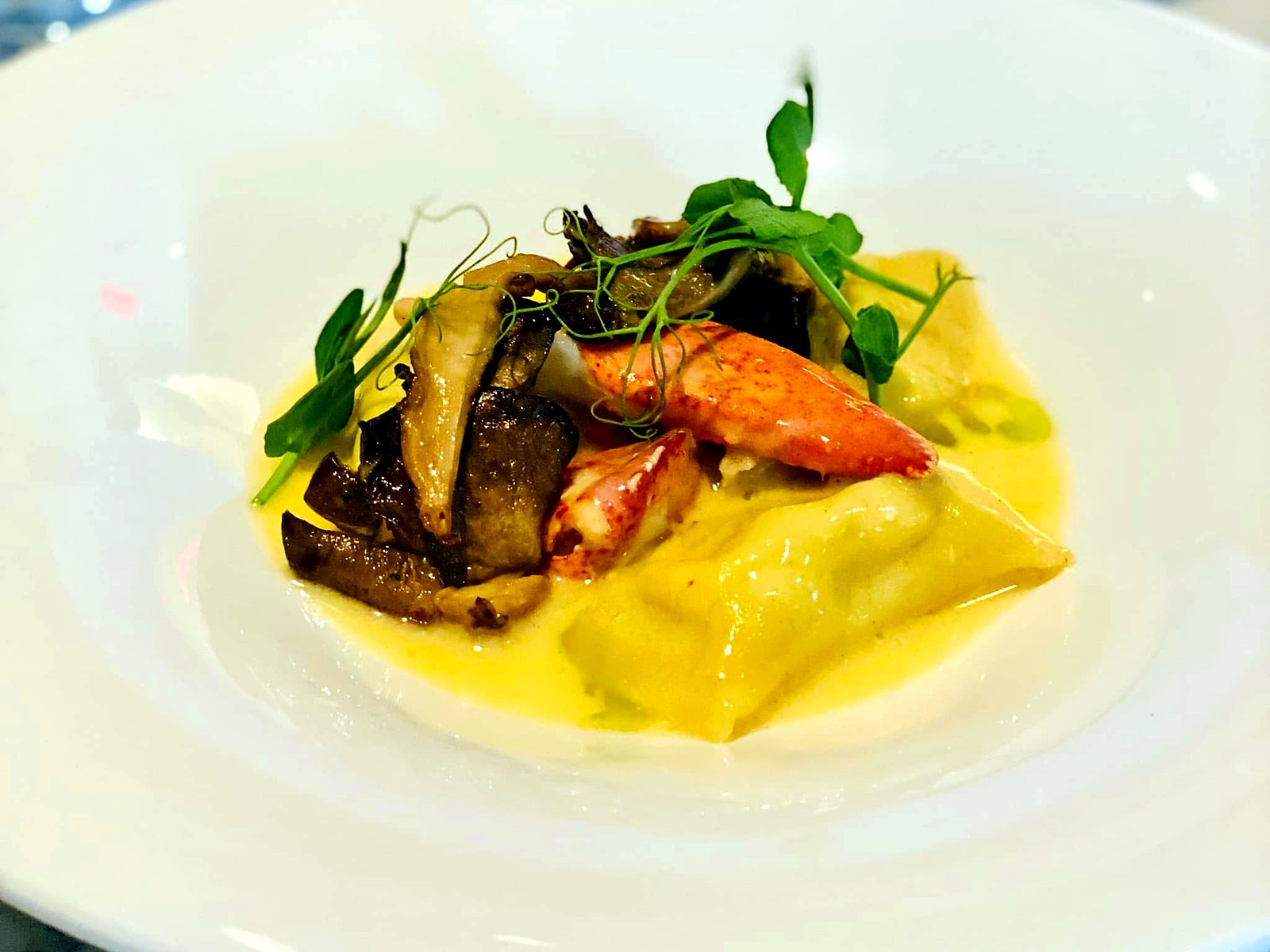 Lobster mushroom pasta at The Restaurant at 1900 — pillowy pasta in golden cream with a lobster claw, wild mushrooms, and pea shoots.